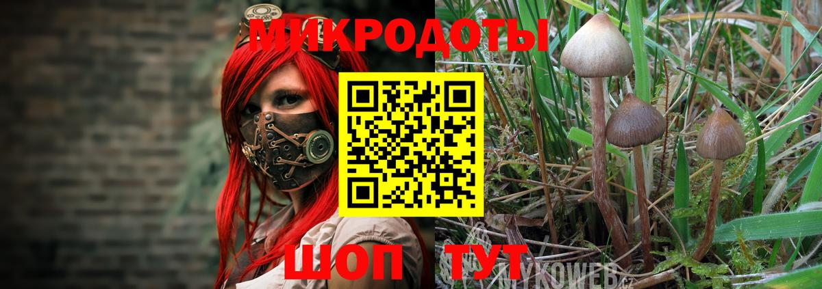 купить закладку  Вход с VPN  Биробиджан  Галлюциногенные грибы MAGIC MUSHROOMS 