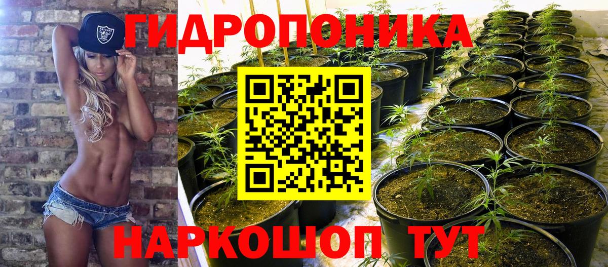 Биробиджан  Бошки марихуана гибрид  Вход с VPN  МАРИХУАНА гибрид 